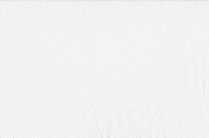 (Bild für) Essential White Dots on White - zum Schließen ins Bild klicken