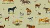 Farm Animals - Horses